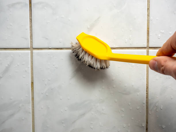Best Affordable Mold Removal  in Temecula, CA