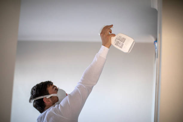 Best Mold Testing  in Temecula, CA