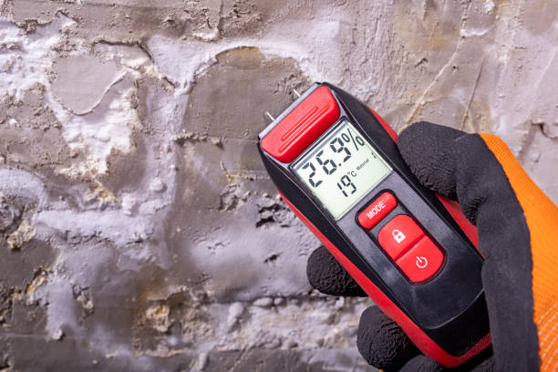 Best Local Mold Removal Service  in Temecula, CA